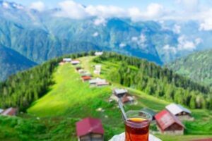 Karadeniz Sohbet